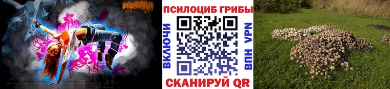 Псилоцибиновые грибы мицелий  Белая Холуница 